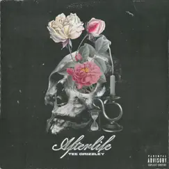 Afterlife - Single by Tee Grizzley album reviews, ratings, credits