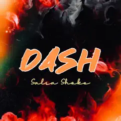 Dash Salsa Shoke Song Lyrics