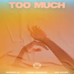 Too Much (feat. Chase Johanson & Dre Wave$) - Single by MoeSOS DC album reviews, ratings, credits