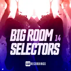 Big Room Selectors, 14 by Various Artists album reviews, ratings, credits