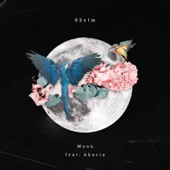 Moon (feat. Akacia) - Single by 92elm album reviews, ratings, credits