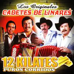 12 Kilates Puros Corridos by Los Cadetes De Linares, Homero Guerrero y Lupe Tijerina & Lupe Tijerina y Rosendo Cantu album reviews, ratings, credits