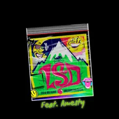 LSD (feat. Amesty) Song Lyrics