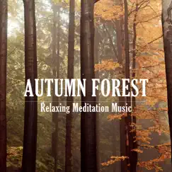 Autumn Forest - Single by Relaxing Meditation Music album reviews, ratings, credits