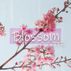 Blossom Song Lyrics