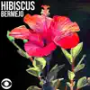 Hibiscus - Single album lyrics, reviews, download