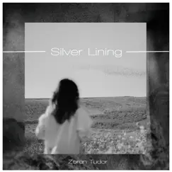 Silver Lining - Single by Zoran Tudor album reviews, ratings, credits