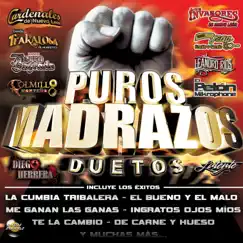 La Cumbia Tribalera (feat. Banda Trakalosa, DJ Morphius & Violento) Song Lyrics