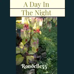 A Day in the Night by Rondelle55 album reviews, ratings, credits