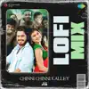 Chinni Chinni Kalley (Lofi Mix) song lyrics