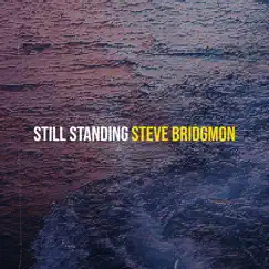 Still Standing - Single by Steve Bridgmon album reviews, ratings, credits