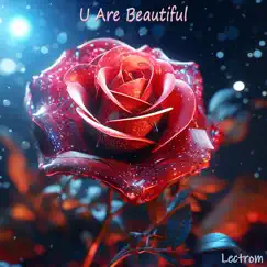 U Are Beautiful - Single by Lectrom album reviews, ratings, credits