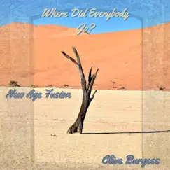 Where Did Everybody Go? by New Age Fusion album reviews, ratings, credits