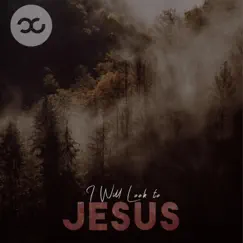 I Will Look to Jesus (feat. Andrew Nordine) Song Lyrics