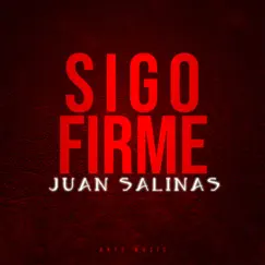 Sigo Firme - Single by Juan Salinas album reviews, ratings, credits
