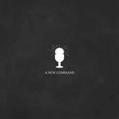 A New Command - Single by Art Wellborn album reviews, ratings, credits