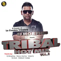 Tribal Hot Mix, Vol. 1 by Vários Artistas album reviews, ratings, credits
