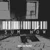 Sum How - Single album lyrics, reviews, download