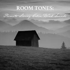 Room Tones: Remote Living Cabin Wind Sounds by Nowak Sommer album reviews, ratings, credits