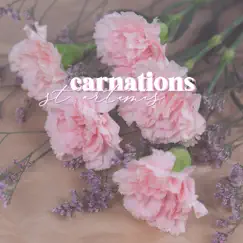 Carnations - Single by St. artemis album reviews, ratings, credits