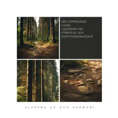 Den Uppfriskande Oasen: Ljudterapi för Förnyelse och Djupvävnadsmassage by Slappna av och Harmoni, Sleepy Clouds & Sleepy Sine album reviews, ratings, credits