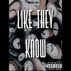 Like They Know - Single by AO album reviews, ratings, credits