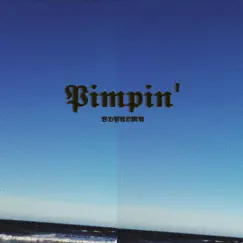 Pimpin - Single by BDPALMA album reviews, ratings, credits