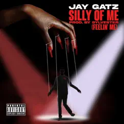 Silly of Me (Feeling' me) - Single by Jay Gatz album reviews, ratings, credits