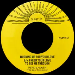 Burning Up For Your Love b/w I Need Your Love To See Me Through - Single by Perk Badger album reviews, ratings, credits