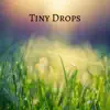 Tiny Drops - Single album lyrics, reviews, download