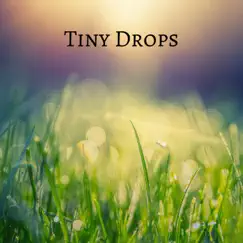 Tiny Drops Song Lyrics