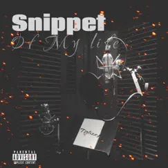 Snippet of My Life - Single by Tglizzy album reviews, ratings, credits