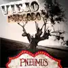 Viejo Mallugado (feat. PRIMITIVO TAPES) [Live Circus Trip Version] - Single album lyrics, reviews, download