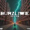 ONA (Bonus Track) [feat. BERECIK & Prokop] song lyrics