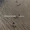 Walking On the Beach - Single album lyrics, reviews, download