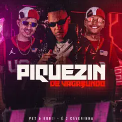 Piquezin de Vagabundo - Single by Pet & Bobii & É O CAVERINHA album reviews, ratings, credits
