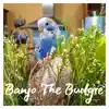Banjo the Budgie album lyrics, reviews, download
