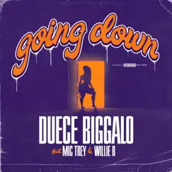 Going Down (feat. Mic Trey & Willie B) - Single by Duece Biggalo album reviews, ratings, credits