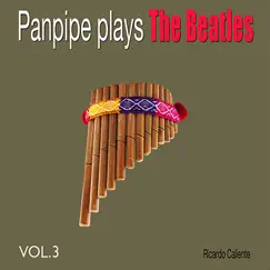 Panpipe Plays the Beatles: Vol. 3 by Ricardo Caliente album reviews, ratings, credits