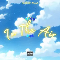 IN the AIR (feat. SAB) - Single by TYBO! album reviews, ratings, credits