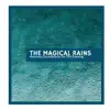 Forest Animals Dance to Rain song lyrics