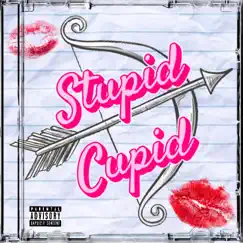 Stupid Cupid Song Lyrics