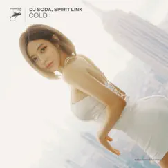 Cold - Single by DJ SODA & SPIRIT LINK album reviews, ratings, credits