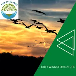 Forty Winks for Nature by Calm music & Massage Tribe album reviews, ratings, credits