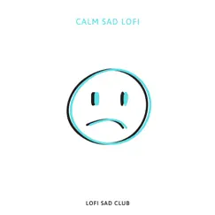 Very Sad Lofi Beat Song Lyrics