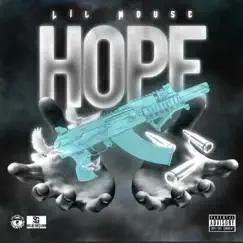 HOPE - Single by Lil Mouse album reviews, ratings, credits
