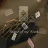 Shape of my Heart - Single album lyrics, reviews, download