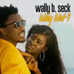 Why not - Single by Wally B. Seck album reviews, ratings, credits