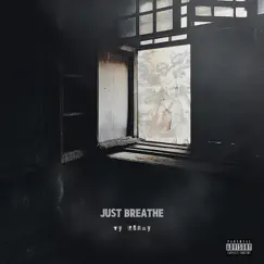 Just Breathe Song Lyrics