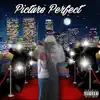 Picture Perfect album lyrics, reviews, download